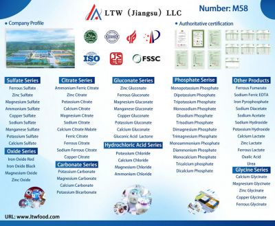 FIAISA   Time: 17-19 September 2025     City: Bangkok,   ThailandBooth Number: M58